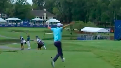 Chesson Hadley ecstatically celebrates first hole-in-one at Wyndham Championship